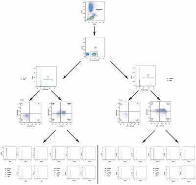 Association Between Programed Cell Death-1 and CD4+ T Cell Alterations in Different Phases of Ischemic Stroke Patients